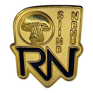 RN SIINB NBNu Registered Nurse Gold Toner‎ Lapel Pin